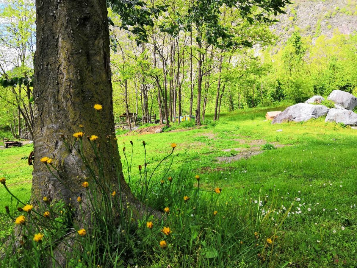 Agriturismo Val Codera Verceia ภายนอก รูปภาพ