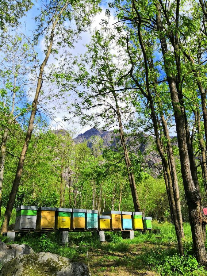 Agriturismo Val Codera Verceia ภายนอก รูปภาพ