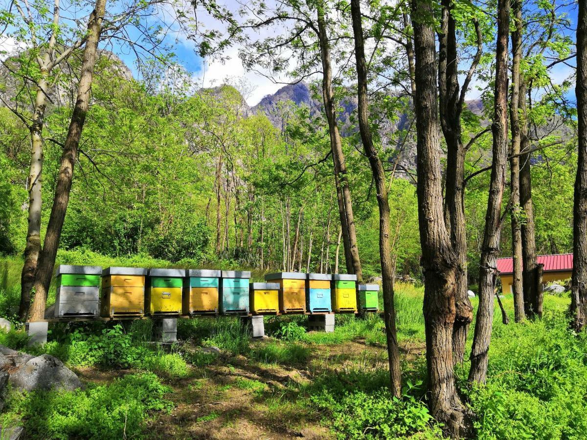 Agriturismo Val Codera Verceia ภายนอก รูปภาพ