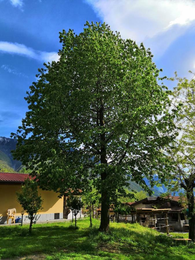 Agriturismo Val Codera Verceia ภายนอก รูปภาพ